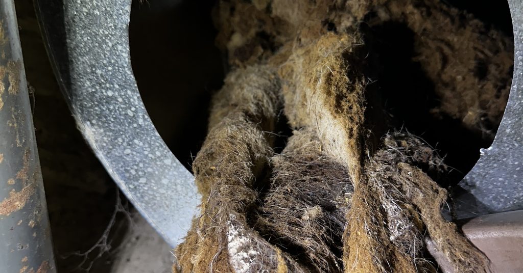Solid lint clog pulled from a dryer duct by Greater Sudbury Duct Cleaning